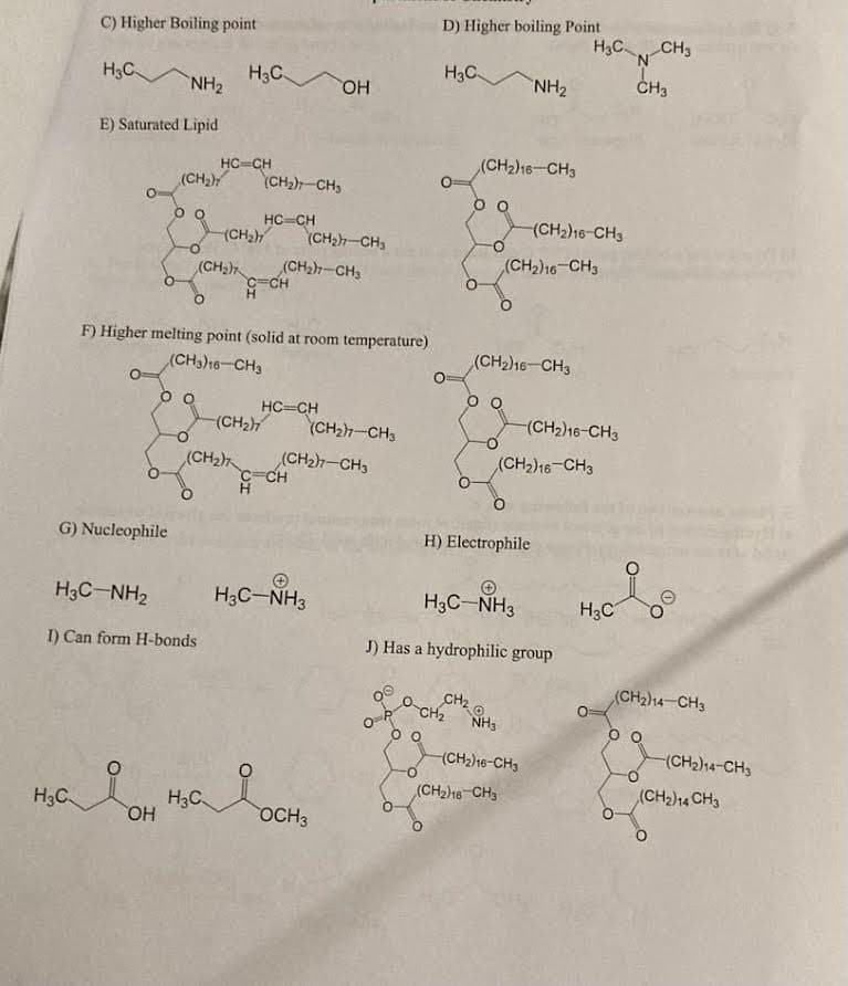 2. Please circle the structure that corresponds to each statement.
A) Phospholipid
B) Steroid
(CH₂he-CH₂
00
(CH₂)-CH₂
(CH₂he-CH₂
H₂C
E) Lactone
C) Secondary Amine.
N-CH3
G) Tertiary Amide
CH3
I) Aromatic Amine
NH₂
op
i
NH₂
-O
OH H3C
CH₂
NH₂
(CH₂)-CH₂
(CH₂)16-CH₂
-OCH3
NH
CH3
HO
OH
D) Wax
F) Lactam
CH3
H
(CH₂)16-CH3
0-(CH₂)13-CH3
Н
H3C-CH₂
H) Heterocyclic amine
CH3
OH
OH
-NH
J) Quaternary ammonium ion
CH₂ CH₂
NCI
H3C CH3
NH₂
OH
0 0
(CH₂)16-CH₂
00
-O
(CH₂hs-CH₂
(CH₂)16-CH3
(CH₂)16-CH₂
3. From each of the following pairs circle the compound best described by the statement.
A) Molecule forms dimers
B) Molecule can form polymers
H₂C
(CH₂)16-CH3
(CH₂)16-CH3
H3C-CH₂
CH₂
H3C
20
NH3CI
OH
C) Highe
H3C
2