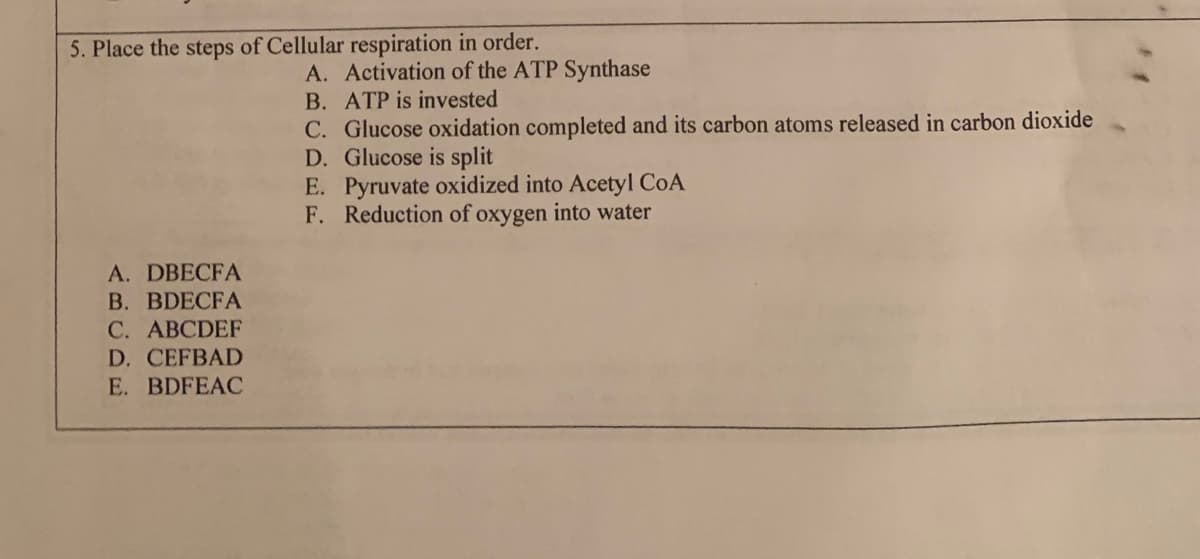 5. Place the steps of Cellular respiration in order.
A. Activation of the ATP Synthase
B. ATP is invested
C. Glucose oxidation completed and its carbon atoms released in carbon dioxide
D. Glucose is split
E. Pyruvate oxidized into Acetyl CoA
F. Reduction of oxygen into water
A. DBECFA
B. BDECFA
C. ABCDEF
D. CEFBAD
E. BDFEAC
