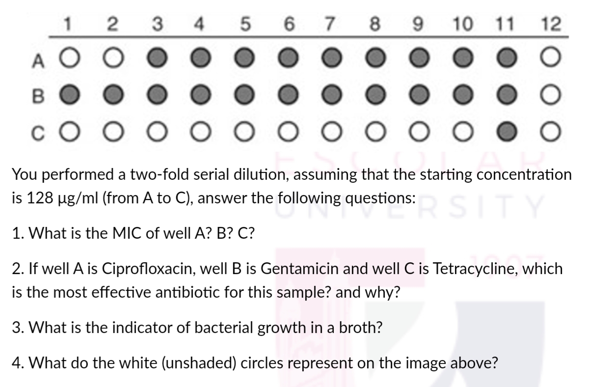 3
4
5
7
8
9
10 11
12
A O
cO O o O O o O OO
You performed a two-fold serial dilution, assuming that the starting concentration
is 128 ug/ml (from A to C), answer the following questions:
SITY
1. What is the MIC of well A? B? C?
2. If well A is Ciprofloxacin, wellB is Gentamicin and well C is Tetracycline, which
is the most effective antibiotic for this sample? and why?
3. What is the indicator of bacterial growth in a broth?
4. What do the white (unshaded) circles represent on the image above?
