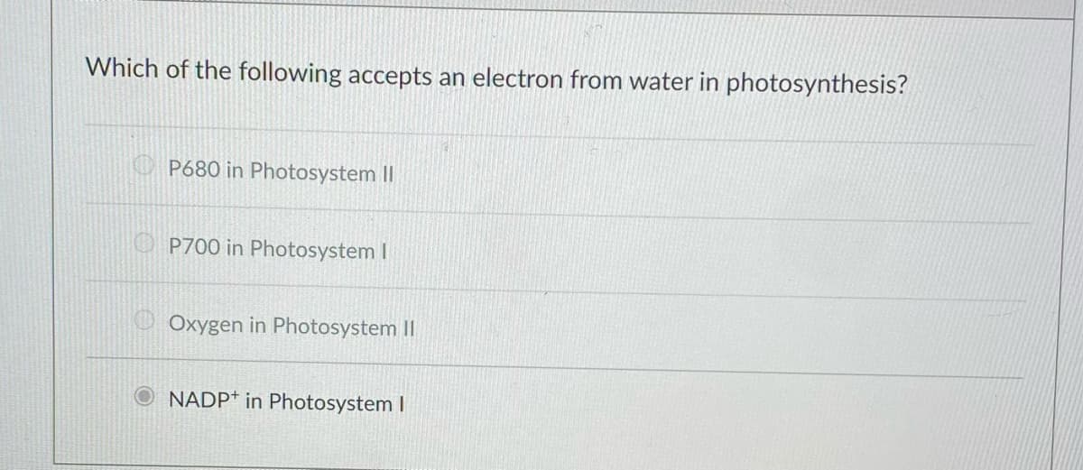 Which of the following accepts an electron from water in photosynthesis?
P680 in Photosystem II
O P700 in Photosystem I
Oxygen in Photosystem II
O NADP* in Photosystem I
