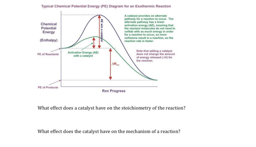 Typical Chemical Potential Energy (PE) Diagram for an Exothermic Reaction
A catalyst provides an alternate
pathway for a reaction to occur. The
alternate pathway has a lower
activation energy (AE), meaning that
the reactant molecules do not need to
collide with as much energy in order
for a reaction to occur, so more
collisions result in a reaction, so the
reaction rate is faster.
Chemical
Potential
Energy
(Enthalpy)
Note that adding a catalyst
does not change the amount
of energy released (AH) for
the reaction.
Activation Energy (AE)
with a catalyst
PE of Reactants
AH
PE of Products
Rxn Progress
What effect does a catalyst have on the stoichiometry of the reaction?
What effect does the catalyst have on the mechanism of a reaction?
AE wlo a catalyst

