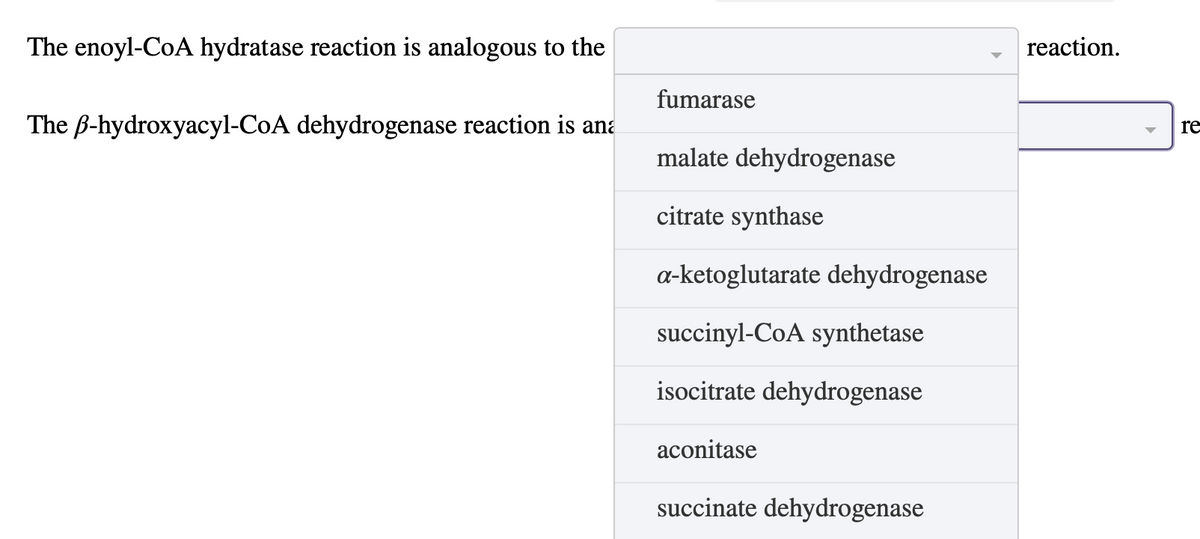 The enoyl-CoA hydratase reaction is analogous to the
The B-hydroxyacyl-CoA dehydrogenase reaction is ana
fumarase
malate dehydrogenase
citrate synthase
a-ketoglutarate dehydrogenase
succinyl-CoA synthetase
isocitrate dehydrogenase
aconitase
succinate dehydrogenase
reaction.
re