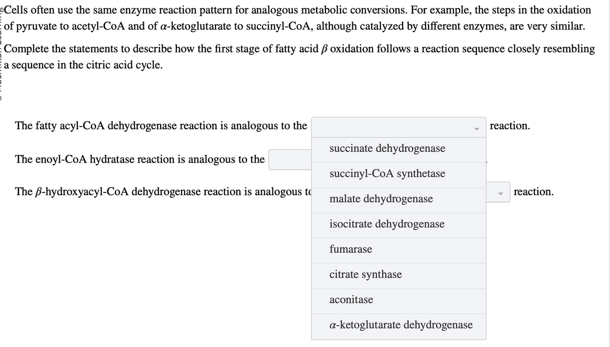 Cells often use the same enzyme reaction pattern for analogous metabolic conversions. For example, the steps in the oxidation
of pyruvate to acetyl-CoA and of a-ketoglutarate to succinyl-CoA, although catalyzed by different enzymes, are very similar.
Complete the statements to describe how the first stage of fatty acid ẞ oxidation follows a reaction sequence closely resembling
a sequence in the citric acid cycle.
The fatty acyl-CoA dehydrogenase reaction is analogous to the
The enoyl-CoA hydratase reaction is analogous to the
The B-hydroxyacyl-CoA dehydrogenase reaction is analogous to
reaction.
succinate dehydrogenase
succinyl-CoA synthetase
reaction.
malate dehydrogenase
isocitrate dehydrogenase
fumarase
citrate synthase
aconitase
a-ketoglutarate dehydrogenase