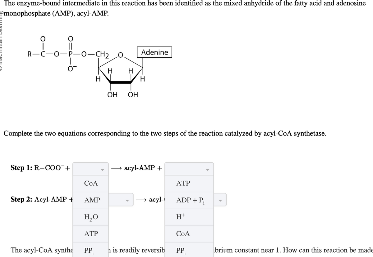 The enzyme-bound intermediate in this reaction has been identified as the mixed anhydride of the fatty acid and adenosine
2ºmonophosphate (AMP), acyl-AMP.
R-C-O-P-O-CH2
0-
Adenine
0.
H
H
H
H
OH
OH
Complete the two equations corresponding to the two steps of the reaction catalyzed by acyl-CoA synthetase.
Step 1: R-COO¯+
→ acyl-AMP +
COA
ATP
Step 2: Acyl-AMP +
AMP
→ acyl-
ADP + P
H₂O
H+
ATP
COA
The acyl-CoA synthe
PP
n is readily reversib
i
PP;
ibrium constant near 1. How can this reaction be made
1