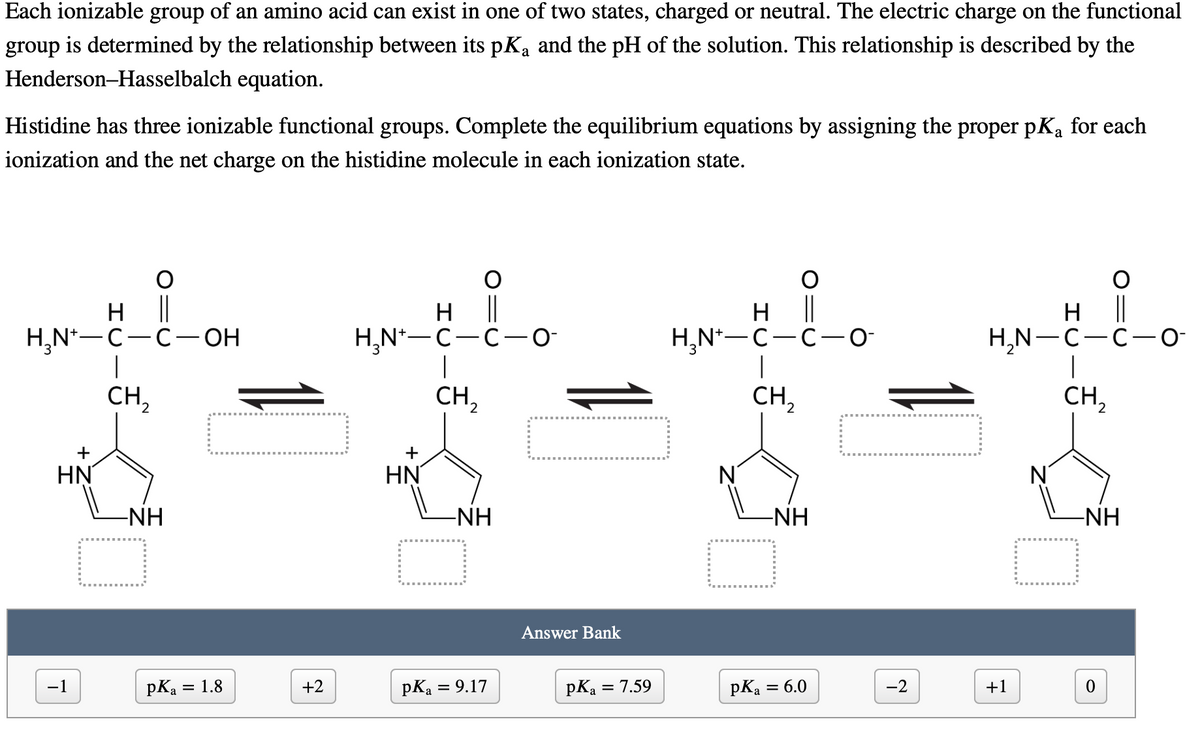 Each ionizable group of an amino acid can exist in one of two states, charged or neutral. The electric charge on the functional
group is determined by the relationship between its pKa and the pH of the solution. This relationship is described by the
Henderson-Hasselbalch equation.
a
Histidine has three ionizable functional groups. Complete the equilibrium equations by assigning the proper pK₁ for each
ionization and the net charge on the histidine molecule in each ionization state.
H ||
H₂N-C-C-OH
|
CH₂
2
+
HN
-1
-NH
pKa
= 1.8
+2
||
H₂N-C-C-0-
1
CH₂
+
HN
-NH
pKa = 9.17
Answer Bank
pK₂ = 7.59
H||
H₂N-C-C-0-
|
CH₂
N
pKa
-NH
= 6.0
-2
н II
H₂N-C-C-0-
|
CH₂
+1
N
C
-NH
0