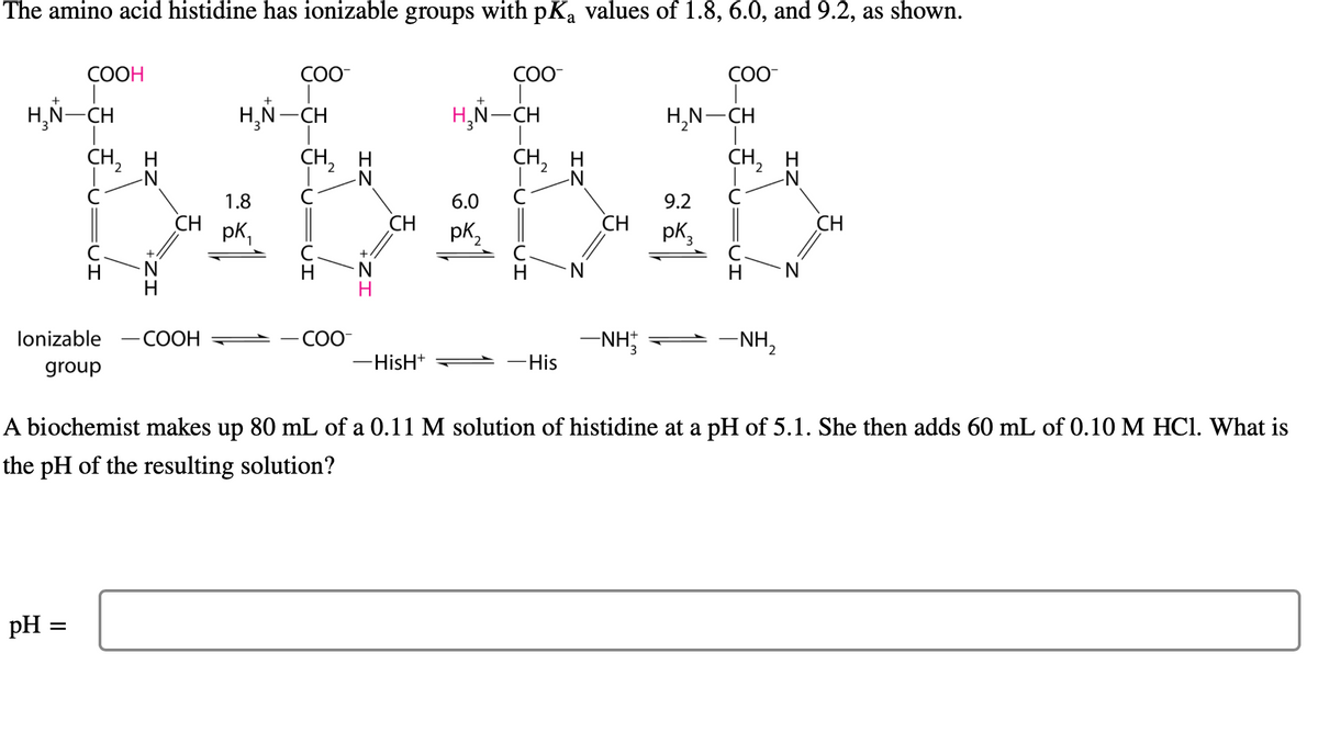 The amino acid histidine has ionizable groups with pKa values of 1.8, 6.0, and 9.2, as shown.
COOH
H₂N-CH
|
CH ₂
pH =
CH
lonizable -COOH
group
COO-
H₂N-CH
1.8
pk₁
CH2
H
-COO-
CH
-HisH+
COO-
H₂N-CH
1
6.0
pk2
CH ₂
H
H N
-His
CH
-NH
COO-
H₂N-CH
1
9.2
pk₂
CH2
-NH₂
H
-N
CH
A biochemist makes up 80 mL of a 0.11 M solution of histidine at a pH of 5.1. She then adds 60 mL of 0.10 M HCl. What is
the pH of the resulting solution?