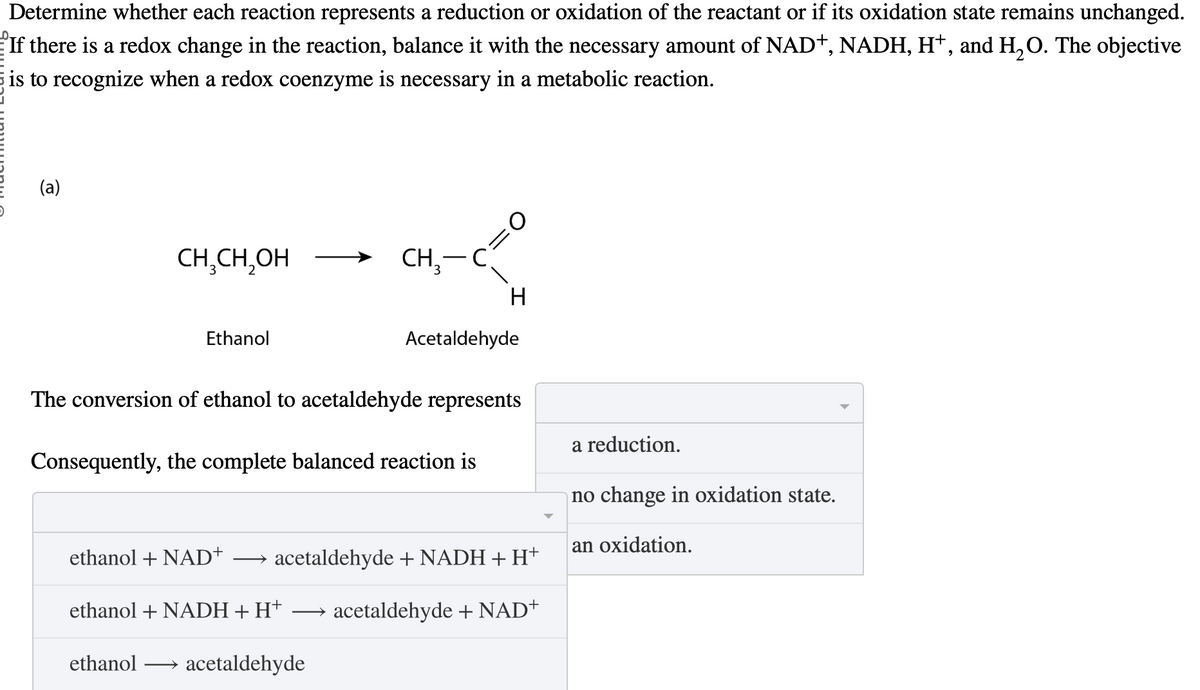 Determine whether each reaction represents a reduction or oxidation of the reactant or if its oxidation state remains unchanged.
If there is a redox change in the reaction, balance it with the necessary amount of NAD+, NADH, H+, and H₂O. The objective
is to recognize when a redox coenzyme is necessary in a metabolic reaction.
(a)
CH₂CH₂OH
CH3-C
H
Ethanol
Acetaldehyde
The conversion of ethanol to acetaldehyde represents
Consequently, the complete balanced reaction is
ethanol + NAD+
a reduction.
no change in oxidation state.
an oxidation.
acetaldehyde + NADH + H+
ethanol + NADH + H+
→ acetaldehyde + NAD+
ethanol
acetaldehyde