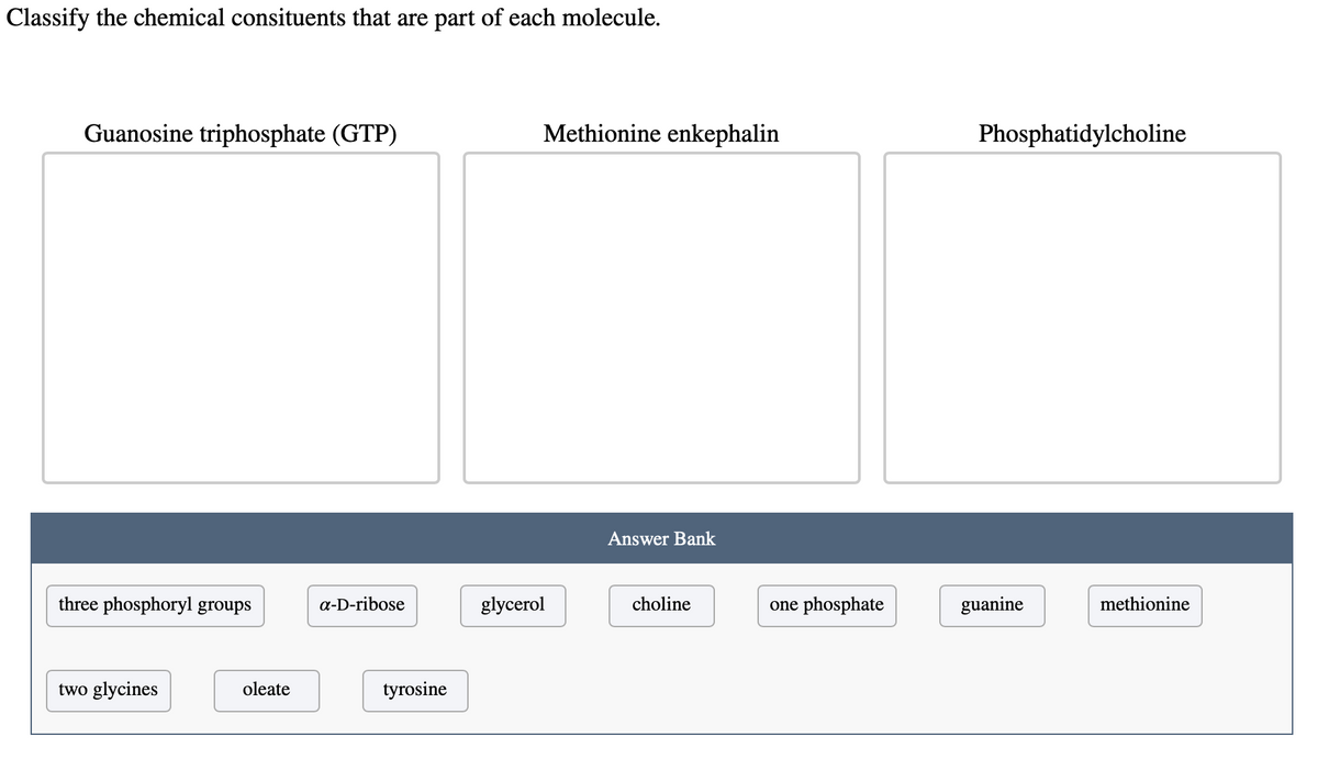 Classify the chemical consituents that are part of each molecule.
Guanosine triphosphate (GTP)
three phosphoryl groups
two glycines
oleate
a-D-ribose
tyrosine
Methionine enkephalin
glycerol
Answer Bank
choline
one phosphate
Phosphatidylcholine
guanine
methionine