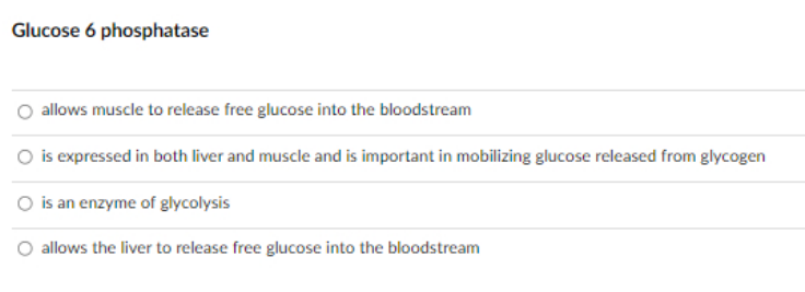 Glucose 6 phosphatase
allows muscle to release free glucose into the bloodstream
O is expressed in both liver and muscle and is important in mobilizing glucose released from glycogen
O is an enzyme of glycolysis
O allows the liver to release free glucose into the bloodstream

