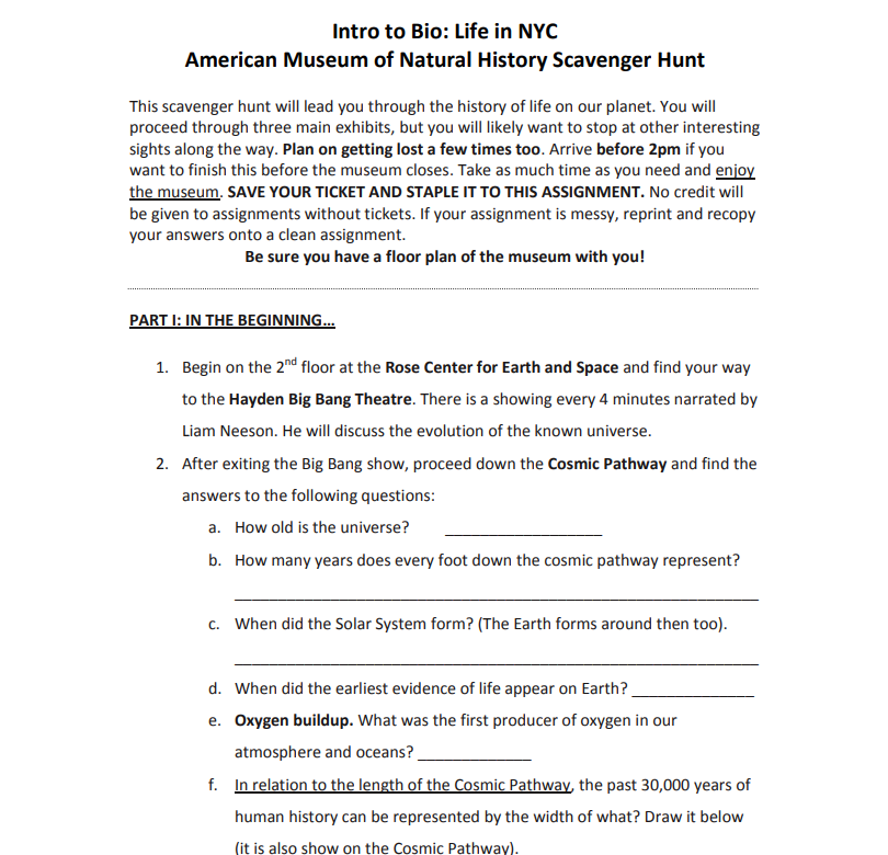 Intro to Bio: Life in NYC
American Museum of Natural History Scavenger Hunt
This scavenger hunt will lead you through the history of life on our planet. You will
proceed through three main exhibits, but you will likely want to stop at other interesting
sights along the way. Plan on getting lost a few times too. Arrive before 2pm if you
want to finish this before the museum closes. Take as much time as you need and enjoy
the museum. SAVE YOUR TICKET AND STAPLE IT TO THIS ASSIGNMENT. No credit will
be given to assignments without tickets. If your assignment is messy, reprint and recopy
your answers onto a clean assignment.
Be sure you have a floor plan of the museum with you!
PART I: IN THE BEGINNING...
1. Begin on the 2nd floor at the Rose Center for Earth and Space and find your way
to the Hayden Big Bang Theatre. There is a showing every 4 minutes narrated by
Liam Neeson. He will discuss the evolution of the known universe.
2. After exiting the Big Bang show, proceed down the Cosmic Pathway and find the
answers to the following questions:
a. How old is the universe?
b. How many years does every foot down the cosmic pathway represent?
c. When did the Solar System form? (The Earth forms around then too).
d. When did the earliest evidence of life appear on Earth?
e. Oxygen buildup. What was the first producer of oxygen in our
atmosphere and oceans?
f. In relation to the length of the Cosmic Pathway, the past 30,000 years of
human history can be represented by the width of what? Draw it below
(it is also show on the Cosmic Pathway).