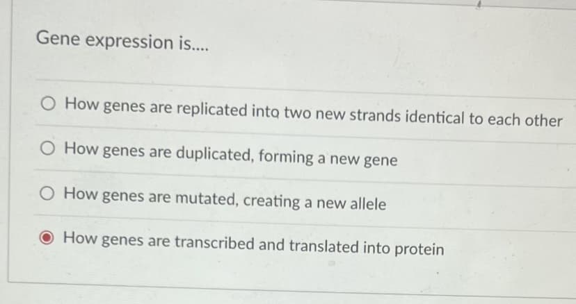 Gene expression is...
O How genes are replicated into two new strands identical to each other
O How genes are duplicated, forming a new gene
O How genes are mutated, creating a new allele
O How genes are transcribed and translated into protein
