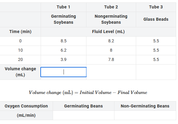 Time (min)
0
10
20
Volume change
(mL)
Tube 1
Germinating
Soybeans
Oxygen Consumption
(mL/min)
8.5
6.2
3.9
Tube 2
Nongerminating
Soybeans
Fluid Level (mL)
8.2
8
7.8
Volume change (mL) = Initial Volume - Final Volume
Germinating Beans
Tube 3
Glass Beads
5.5
5.5
5.5
Non-Germinating Beans