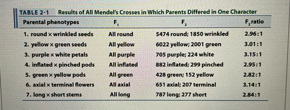TABLE 2-1 Results of All Mendel's Crosses in Which Parents Differed in One Character
Parental phenotypes
1. round x wrinkled seeds
2. yellow x green seeds
3. purplex white petals
4. inflated x pinched pods
5. green x yellow pods
6. axial x terminal flowers
7. long x short stems
F₁
All round
All yellow
All purple
All inflated
All green
All axial
All long
F₂
2
5474 round; 1850 wrinkled
6022 yellow; 2001 green
705 purple; 224 white
882 inflated; 299 pinched
428 green; 152 yellow
651 axial; 207 terminal
787 long; 277 short
F,ratio
2.96:1
3.01:1
3.15:1
2.95:1
2.82:1
3.14:1
2.84:1