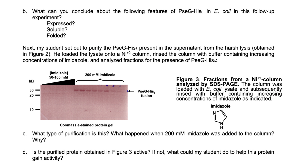 b. What can you conclude about the following features of PseG-His。 in E. coli in this follow-up
experiment?
Next, my student set out to purify the PseG-His present in the supernatant from the harsh lysis (obtained
in Figure 2). He loaded the lysate onto a Ni+² column, rinsed the column with buffer containing increasing
concentrations of imidazole, and analyzed fractions for the presence of PseG-His6:
C.
kD
30
25
||
Expressed?
Soluble?
Folded?
10->
[imidizole]
50-100 mM
200 mM imidizole
PseG-His
fusion
Figure 3. Fractions from a Ni+²-column
analyzed by SDS-PAGE. The column was
loaded with E. coli lysate and subsequently
rinsed with buffer containing increasing
concentrations of imidazole as indicated.
imidazole
Coomassie-stained protein gel
What type of purification is this? What happened when 200 mM imidazole was added to the column?
Why?
d. Is the purified protein obtained in Figure 3 active? If not, what could my student do to help this protein
gain activity?