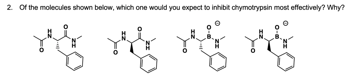 2. Of the molecules shown below, which one would you expect to inhibit chymotrypsin most effectively? Why?
B
B
VE TË NË TË
N