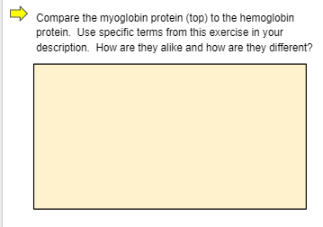 Compare the myoglobin protein (top) to the hemoglobin
protein. Use specific terms from this exercise in your
description. How are they alike and how are they different?
