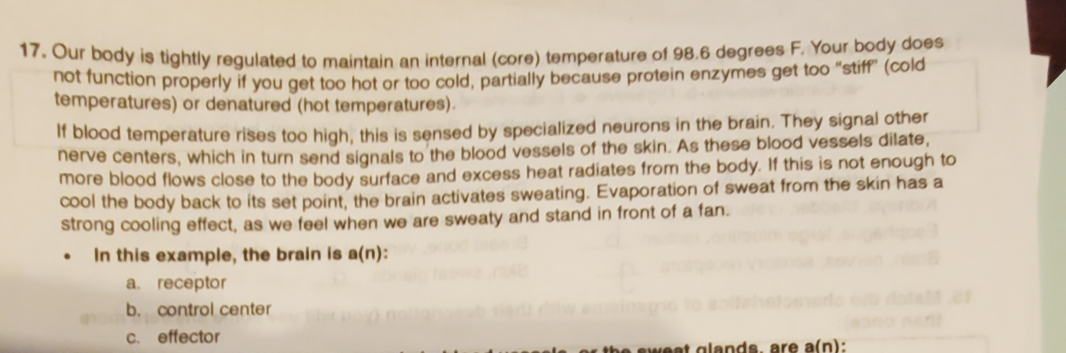 *our body is tightly regulated to maintain an internal (core) temperature of 98.6 degrees F. Your body does
not function properly if you get too hot or too cold, partially because protein enzymes get too "stiff" (cold
temperatures) or denatured (hot temperatures).
If blood temperature rises too high, this is sensed by specialized neurons in the brain. They signal other
herve centers, which in turn send signals toʻthe blood vessels of the skin. As these blood vessels dilate,
more blood flows close to the body surface and excess heat radiates from the body. If this is not enough to
cool the body back to its set point, the brain activates sweating. Evaporation of sweat from the skin has a
strong cooling effect, as we feel when we are sweaty and stand in front of a fan.
In this example, the brain is a(n):
а. гесеptor
b. control center
nent
C. effector
eweet alands, are a(n):
