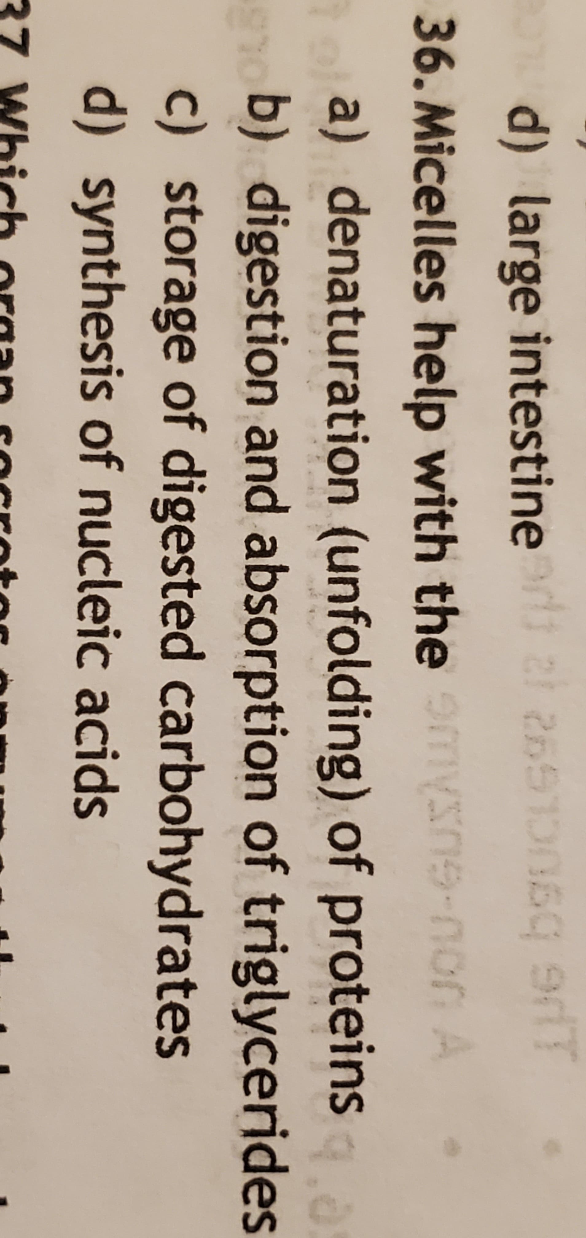 d) large intestine zi 2551006g 9
36. Micelles help with the omysne-nor A
JOU-GUS
a) denaturation (unfolding) of proteins
9.0
b) digestion and absorption of triglycerides
c) storage of digested carbohydrates
d) synthesis of nucleic acids
