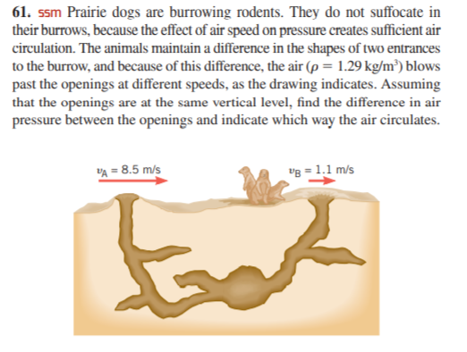 61. ssm Prairie dogs are burrowing rodents. They do not suffocate in
their burrows, because the effect of air speed on pressure creates sufficient air
circulation. The animals maintain a difference in the shapes of two entrances
to the burrow, and because of this difference, the air (p = 1.29 kg/m³) blows
past the openings at different speeds, as the drawing indicates. Assuming
that the openings are at the same vertical level, find the difference in air
pressure between the openings and indicate which way the air circulates.
"A = 8.5 m/s
vg = 1.1 m/s
