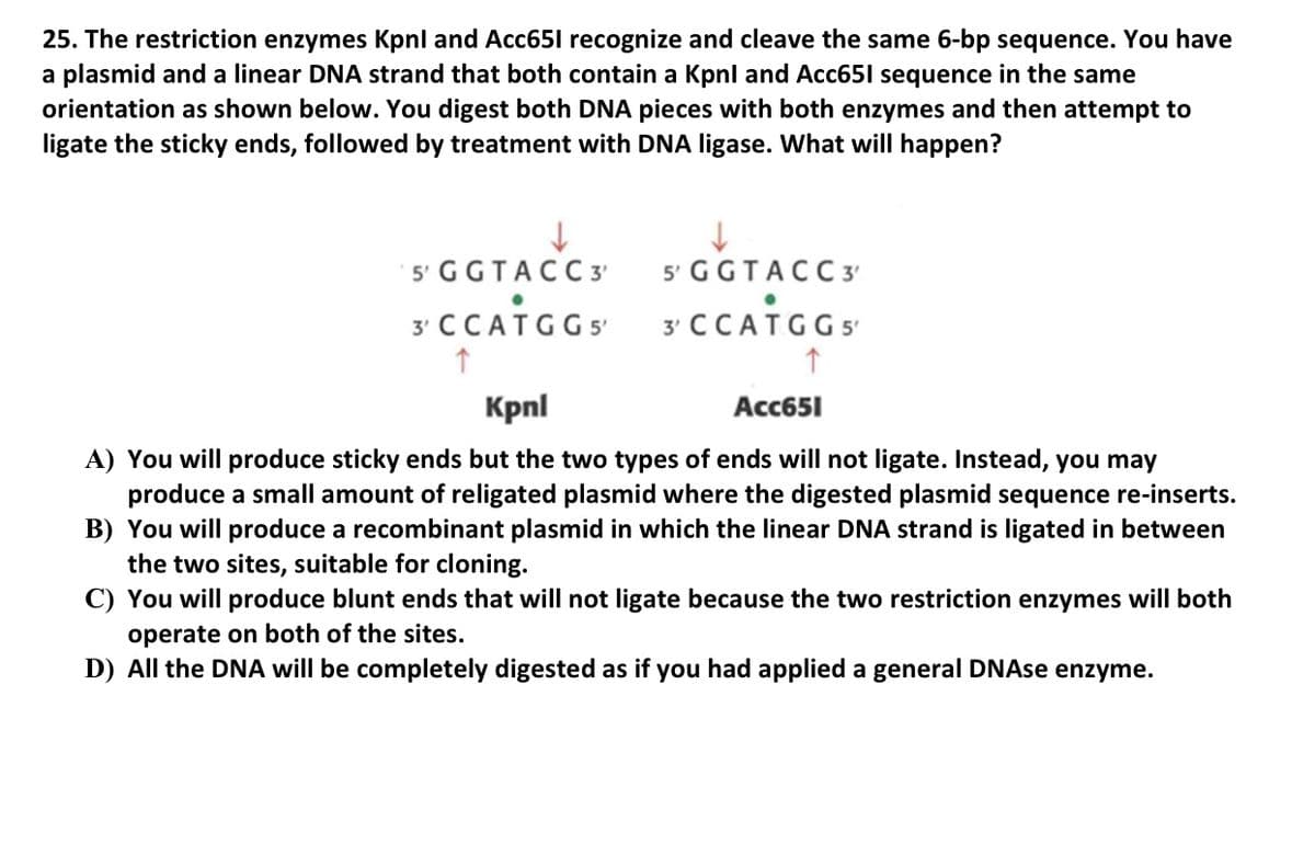 25. The restriction enzymes Kpnl and Acc651 recognize and cleave the same 6-bp sequence. You have
a plasmid and a linear DNA strand that both contain a Kpnl and Acc651 sequence in the same
orientation as shown below. You digest both DNA pieces with both enzymes and then attempt to
ligate the sticky ends, followed by treatment with DNA ligase. What will happen?
5' GGTACC3'
5' GGTACC3'
3 CCATGGS 3 CCATGGS
Kpnl
Aсс651
A) You will produce sticky ends but the two types of ends will not ligate. Instead, you may
produce a small amount of religated plasmid where the digested plasmid sequence re-inserts.
B) You will produce a recombinant plasmid in which the linear DNA strand is ligated in between
the two sites, suitable for cloning.
C) You will produce blunt ends that will not ligate because the two restriction enzymes will both
operate on both of the sites.
D) All the DNA will be completely digested as if you had applied a general DNAse enzyme.
