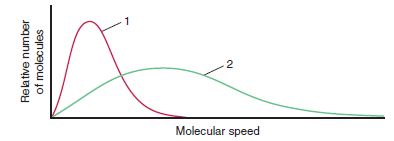 .2
Molecular speed
Relative number
of molecules
