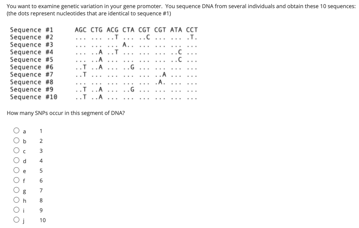 You want to examine genetic variation in your gene promoter. You sequence DNA from several individuals and obtain these 10 sequences:
(the dots represent nucleotides that are identical to sequence #1)
Sequence #1
Sequence #2
Sequence #3
Sequence #4
Sequence #5
Sequence #6
Sequence #7
Sequence #8
Sequence #9
Sequence #10
AGC CTG ACG CTA CGT CGT ATA CCT
..T
..C
.T.
...
...
А..
..T
. A
.C
.A
...
..T
.A
..T
.A.
..T
.A
.G
..T
.A
How many SNPS occur in this segment of DNA?
a
1
3
d.
4
e
f
6.
7
8
9.
j
10
