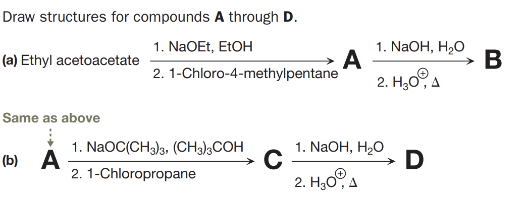Draw structures for compounds A through D.
1. NaOH, H2O
A
2. H,0°A
1. NaOEt, EtOH
(a) Ethyl acetoacetate
→ B
2. 1-Chloro-4-methylpentane
Same as above
1. NaOH, H2O
D
1. NaOC(CH3)3, (CH3);COH
(b) A
2. 1-Chloropropane
2. H,0ºA
