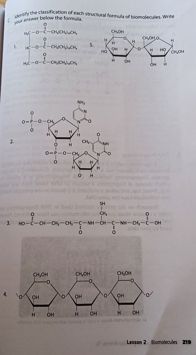 your answer below the formula.
Identify the classification of each structural formula of biomolecules. Write
allot
H.C-0-C-CH;(CH2),CH,
CH,OH
2 Habi
CH,OH O.
H
H.
H
5.
1.
HC-0-C-CH,(CH,),3CH,
но
OH
H
но
CH,OH
H
OH
H,C-0-C-CH;(CH;),3CH3
OH
NH,
:N
0=P-0-CH2
'N'
H
H
H
2.
CH3
NH
H
0=P-0-CH2
, 0,
prlinhatspr AnO
HH ai zizylsns inhevoprt
H
bor 6 bosbian
oig 6 eniuhqepnit AlO Hoinrbel pnitninqrognil odsansp
on vos moit ns A lo slgmee 621nnqiepnit to bestani dairlw
sigbnng era no baesd ei tl.bosylsns zi (evilsz bns ierl boold.p.s)
AMO emsa erlt everl éleubivibni ow
ns pritnihqepnft AMO ni bsau borbsm
ne19.ba1erho everl uoy nodemotni or CHa tuo Isuaiv sviss O6 slsm.
SH
vminq odi no bs2s
TO3. HO-C-CH-CH2-CH2-C-NH-CH-C-NH–CH,-C-OH
CH,OH
CH,OH
CH,OH
4.
OH
OH
OH
H
OH
H OH
H
OH
2slgmcr A sqmo bns asong ol bau ivab ziz91orfgoals nA
Lesson 2 Biomolecules 219
