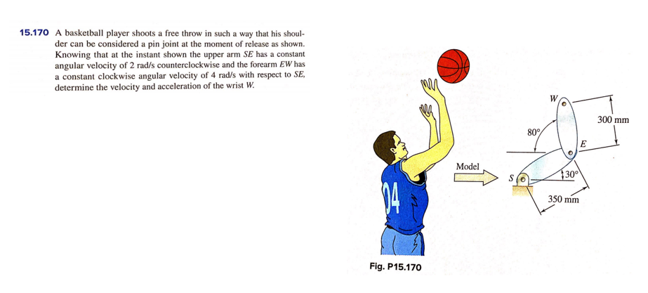 15.170 A basketball player shoots a free throw in such a way that his shoul-
der can be considered a pin joint at the moment of release as shown.
Knowing that at the instant shown the upper arm SE has a constant
angular velocity of 2 rad/s counterclockwise and the forearm EW has
a constant clockwise angular velocity of 4 rad/s with respect to SE,
determine the velocity and acceleration of the wrist W.
W
300 mm
80°
Model
30
350 mm
Fig. P15.170
