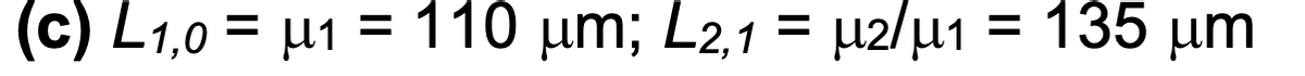(c) L1,0 = μ1 = 110 µm; L2,1 = µ²/μ₁ = 135 µm