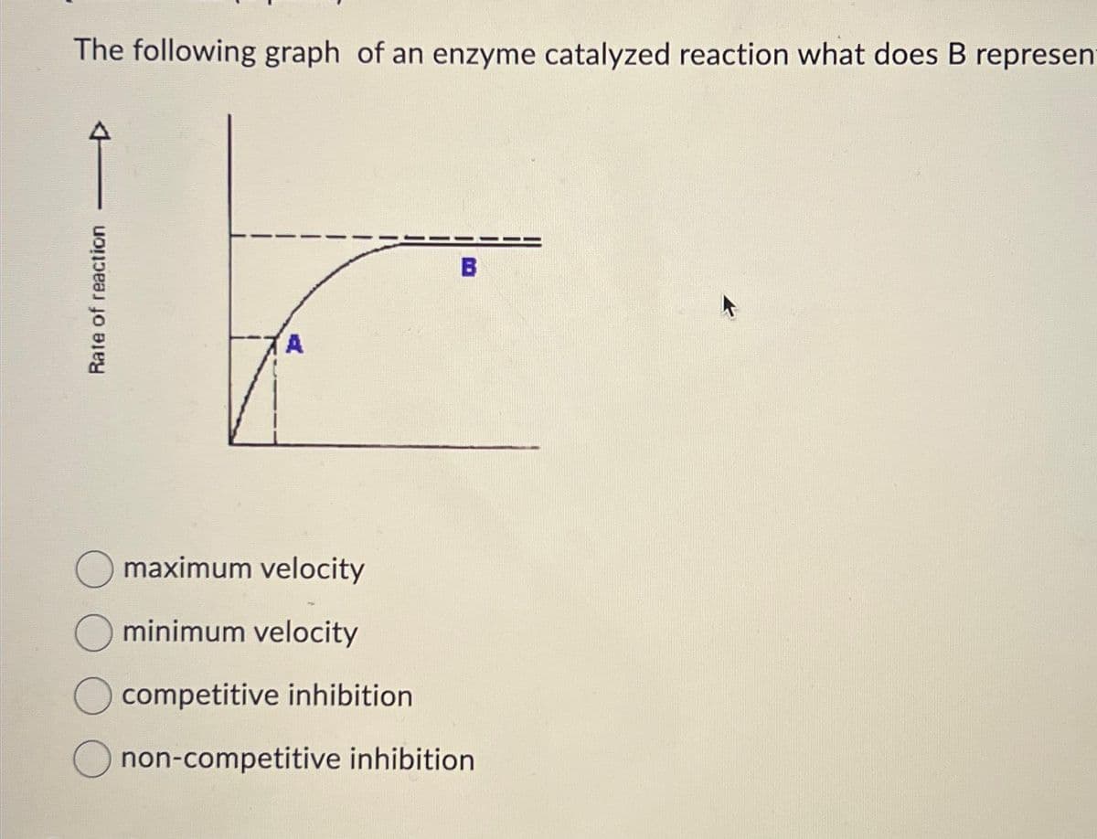 The following graph of an enzyme catalyzed reaction what does B represen
Rate of reaction
A
B
maximum velocity
minimum velocity
competitive inhibition
non-competitive inhibition