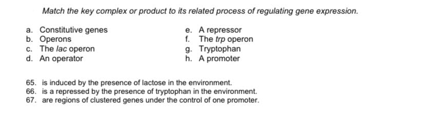 Match the key complex or product to its related process of regulating gene expression.
a. Constitutive genes
b. Operons
c. The lac operon
d. An operator
e. A repressor
f. The trp operon
g. Tryptophan
h. A promoter
65. is induced by the presence of lactose in the environment.
66. is a repressed by the presence of tryptophan in the environment.
67. are regions of clustered genes under the control of one promoter.
