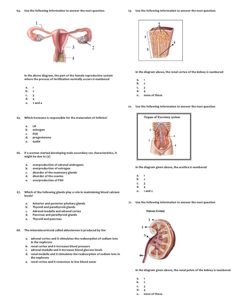 64.
Use the following information to answer the next question.
59.
Use the following information to answer the next question.
2
3
2
3
In the diagram above, the renal cortex of the kidney is numbered
In the above diagram, the part of the female reproductive system
where the process of fertilization normally occurs is numbered
a.
1
b.
2
a.
1
c.
3
d.
b.
2
4
c.
none of these
3
d.
e.
4
3 and 4
e.
70.
Use the following information to answer the next question
65.
Which hormone is responsible for the maturation of follicles?
Organs of Excretory system
a.
LH
b.
estrogen
C.
FSH
-3
d.
progesterone
е.
GNRH
If a woman started developing male secondary sex characteristics, it
might be due to (a)
66.
overproduction of adrenal androgens
b.
a.
In the diagram given above, the urethra is numbered
overproduction of estrogen
disorder of the mammary glands
disorder of the ovaries
c.
d.
a.
1
b.
2
е.
overproduction of FSH
C.
d.
4
1 and 2
Which of the following glands play a role in maintaining blood calcium
e.
67.
levels?
71.
Use the following information to answer the next question
Anterior and posterior pituitary glands
Thyroid and parathyroid glands
Adrenal medulla and adrenal cortex
Pancreas and parathyroid glands
a.
b.
c.
Human Kidney
d.
e.
Thyroid and pancreas
68. The mineralocorticoid called aldosterone is produced by the
a. adrenal cortex and it stimulates the reabsorption of sodium ions
in the nephrons
b. renal cortex and it increases blood pressure
c. adrenal medulla and it increases blood glucose levels
d. renal medulla and it stimulates the reabsorption of sodium ions in
the nephrons
e. renal cortex and it responses to low blood sugar
In the diagram given above, the renal pelvis of the kidney is numbered
a.
1
b.
2
c.
3
d.
4
e.
none of these

