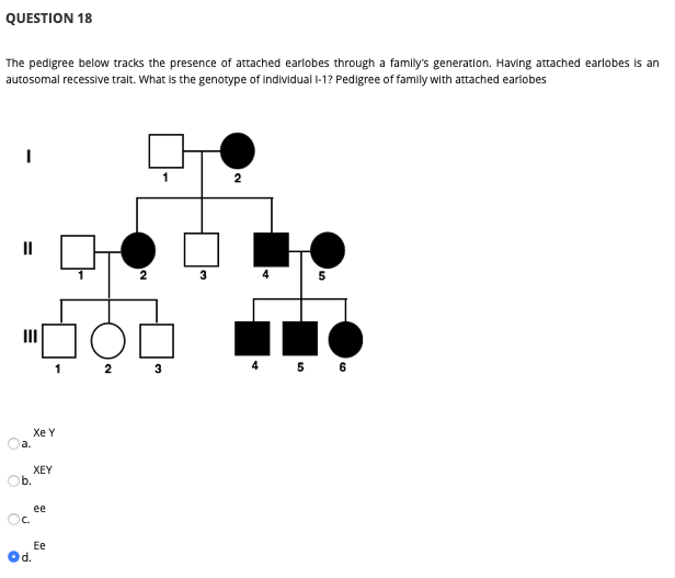 QUESTION 18
The pedigree below tracks the presence of attached earlobes through a famly's generatlon. Having attached earlobes is an
autosomal recessive tralt. What is the genotype of Individual I-1? Pedigree of famlly with attached earlobes
II
2
1 2 3
4 5 6
Хe Y
a.
XEY
b.
ее
Oc.
Ee
d.
