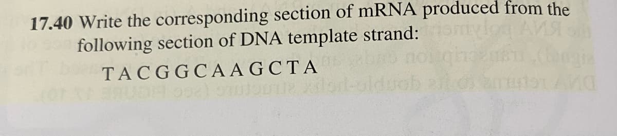17.40 Write the corresponding section of mRNA produced from the
AMA
following section of DNA template strand:
TACGGCAAGCTA
BRUDH 092) Su 02: