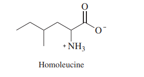 + NH3
Homoleucine
