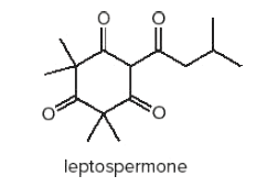 leptospermone
