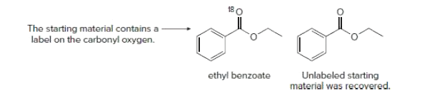 The starting material contains a
label on the carbonyl oxygen.
ethyl benzoate
Unlabeled starting
material was recovered.
