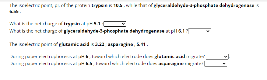 The isoelectric point, pl, of the protein trypsin is 10.5, while that of glyceraldehyde-3-phosphate dehydrogenase is
6.55.
What is the net charge of trypsin at pH 5.1 ?[
What is the net charge of glyceraldehyde-3-phosphate dehydrogenase at pH 6.1 ?[
The isoelectric point of glutamic acid is 3.22; asparagine, 5.41.
During paper electrophoresis at pH 6, toward which electrode does glutamic acid migrate? |
During paper electrophoresis at pH 6.5, toward which electrode does asparagine migrate? [
