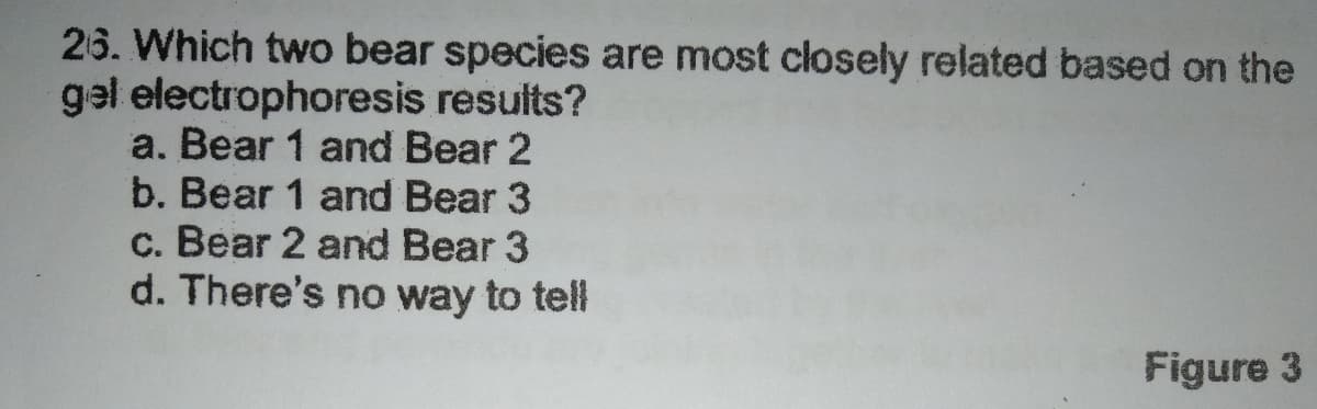 26. Which two bear species are most closely related based on the
gal electrophoresis results?
a. Bear 1 and Bear 2
b. Bear 1 and Bear 3
c. Bear 2 and Bear 3
d. There's no way to tell
Figure 3
