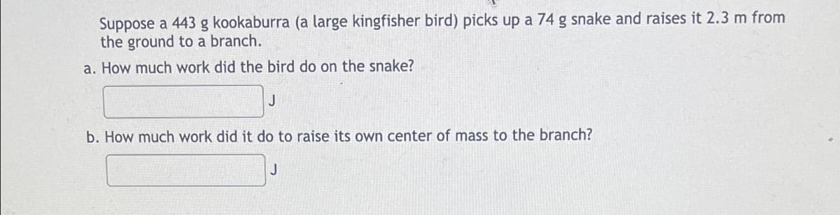 Suppose a 443 g kookaburra (a large kingfisher bird) picks up a 74 g snake and raises it 2.3 m from
the ground to a branch.
a. How much work did the bird do on the snake?
J
b. How much work did it do to raise its own center of mass to the branch?
J