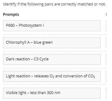 Identify if the following pairs are correctly matched or not.
Prompts
P680 - Photosystem I
Chlorophyll A - blue green
Dark reaction - C3 Cycle
Light reaction - releases Oz and conversion of CO2
Visible light - less than 300 nm
