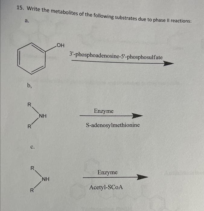 15. Write the metabolites of the following substrates due to phase Il reactions:
a.
b,
R
R
C.
R
R
NH
ΝΗ
LOH
3'-phosphoadenosine-5'-phosphosulfate
Enzyme
S-adenosylmethionine
Enzyme
Acetyl-SCOA
