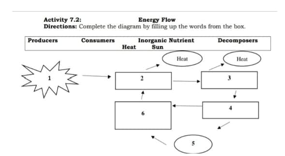 Energy Flow
Activity 7.2:
Directions: Complete the diagram by filling up the words from the box.
Producers
Inorganic Nutrient
Sun
Decomposers
Consumers
Heat
Нeat
Нeat
2
