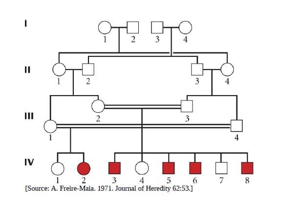 4
II
3
4
II
3
4
IV
1 2 3 4 5 6
[Source: A. Freire-Maia. 1971. Journal of Heredity 62:53.]
2.
