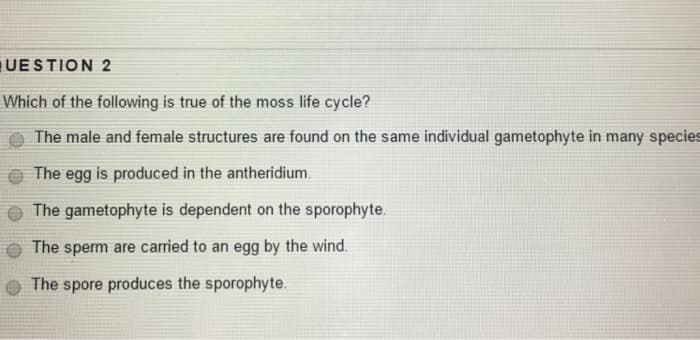 QUESTION 2
Which of the following is true of the moss life cycle?
The male and female structures are found on the same individual gametophyte in many species
The egg is produced in the antheridium.
The gametophyte is dependent on the sporophyte.
The sperm are carried to an egg by the wind.
The spore produces the sporophyte.