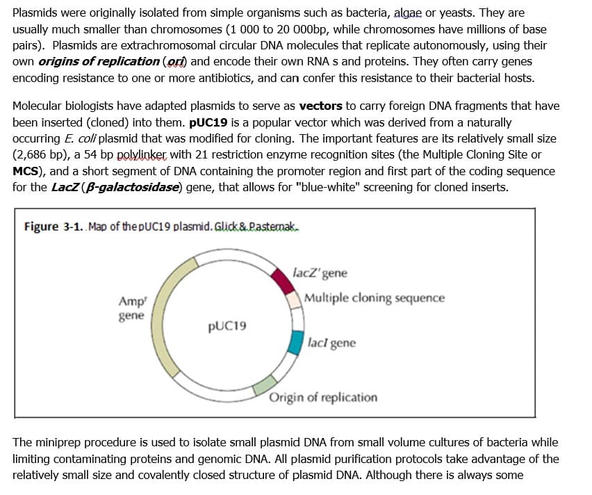 Plasmids were originally isolated from simple organisms such as bacteria, algae or yeasts. They are
usually much smaller than chromosomes (1 000 to 20 0o0bp, while chromosomes have millions of base
pairs). Plasmids are extrachromosomal circular DNA molecules that replicate autonomously, using their
own origins of replication (ori) and encode their own RNA s and proteins. They often carry genes
encoding resistance to one or more antibiotics, and can confer this resistance to their bacterial hosts.
Molecular biologists have adapted plasmids to serve as vectors to carry foreign DNA fragments that have
been inserted (cloned) into them. PUC19 is a popular vector which was derived from a naturally
occurring E. coli plasmid that was modified for cloning. The important features are its relatively small size
(2,686 bp), a 54 bp polylinker with 21 restriction enzyme recognition sites (the Multiple Cloning Site or
MCS), and a short segment of DNA containing the promoter region and first part of the coding sequence
for the LacZ (B-galactosidase) gene, that allows for "blue-white" screening for cloned inserts.
Figure 3-1. Map of the DUC19 plasmid. Glick& Pastemak.
lacZ'gene
Amp
Multiple cloning sequence
gene
PUC19
lacl gene
Origin of replication
The miniprep procedure is used to isolate small plasmid DNA from small volume cultures of bacteria while
limiting contaminating proteins and genomic DNA. All plasmid purification protocols take advantage of the
relatively small size and covalently closed structure of plasmid DNA. Although there is always some
