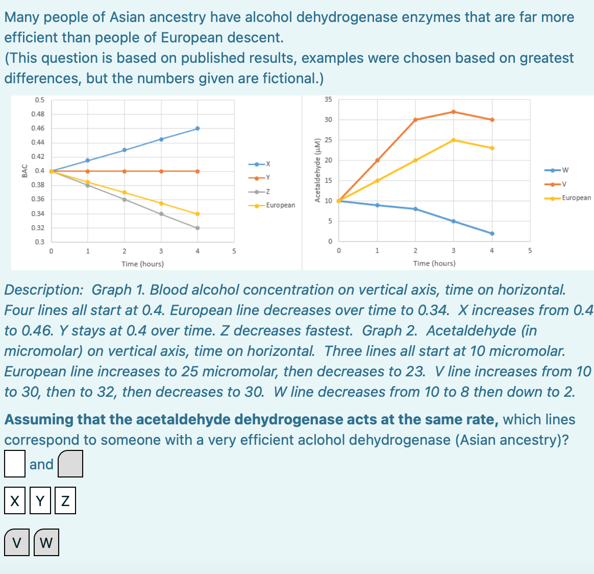 Many people of Asian ancestry have alcohol dehydrogenase enzymes that are far more
efficient than people of European descent.
(This question is based on published results, examples were chosen based on greatest
differences, but the numbers given are fictional.)
0.5
0.48
0.46
Kik
--European
0.44
0.42
0.4
0.38
0.36
0.34
0.32
0.3
0
1
X Y Z
2
3
Time (hours)
VW
4
35
5
30
10
5
0
0
1
2
Time (hours)
4
5
-W
-V
Description: Graph 1. Blood alcohol concentration on vertical axis, time on horizontal.
Four lines all start at 0.4. European line decreases over time to 0.34. X increases from 0.4
to 0.46. Y stays at 0.4 over time. Z decreases fastest. Graph 2. Acetaldehyde (in
micromolar) on vertical axis, time on horizontal. Three lines all start at 10 micromolar.
European line increases to 25 micromolar, then decreases to 23. V line increases from 10
to 30, then to 32, then decreases to 30. W line decreases from 10 to 8 then down to 2.
--European
Assuming that the acetaldehyde dehydrogenase acts at the same rate, which lines
correspond to someone with a very efficient aclohol dehydrogenase (Asian ancestry)?
and
