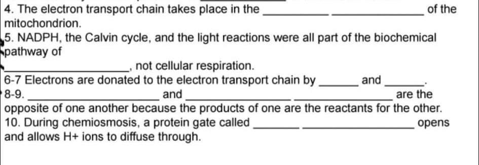 4. The electron transport chain takes place in the
of the
mitochondrion.
5. NADPH, the Calvin cycle, and the light reactions were all part of the biochemical
pathway of
not cellular respiration.
6-7 Electrons are donated to the electron transport chain by.
and
and
8-9.
are the
opposite of one another because the products of one are the reactants for the other.
10. During chemiosmosis, a protein gate called
and allows H+ ions to diffuse through.
opens
