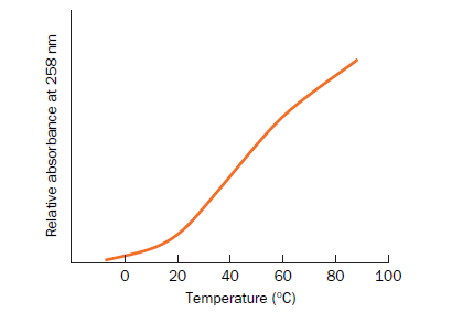 20
40
60
80
100
Temperature (°C)
Relative absorbance at 258 nm
